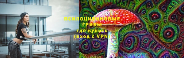 СК Алексеевка