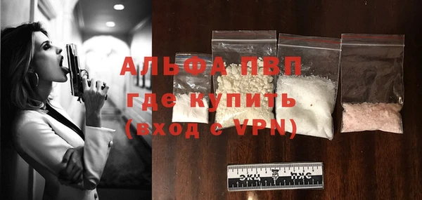 шишки Елизово